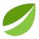 Bitfinex